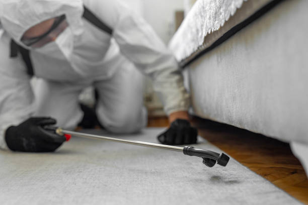 Professional Termite Control technician working in Mound, MN